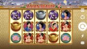 Read more about the article Asian Beauty Slot Game
