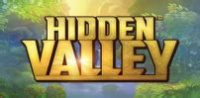 Read more about the article Hidden Valley Slot Game