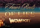 Read more about the article The Finer Reels of Life Slot Game